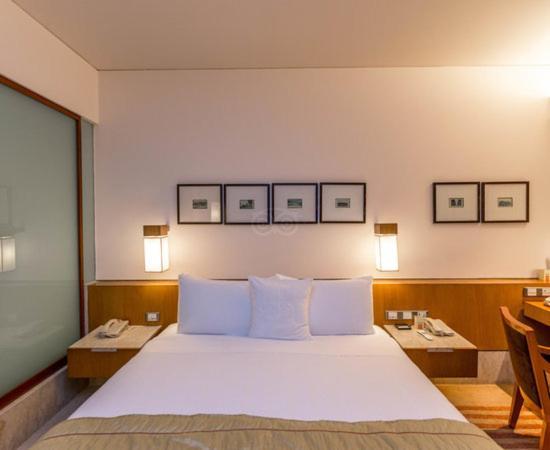 Hotel Plaza International Near Delhi Airport Yeni Delhi Dış mekan fotoğraf